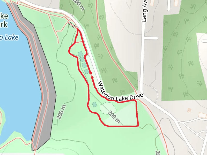 Waterloo Park Loop