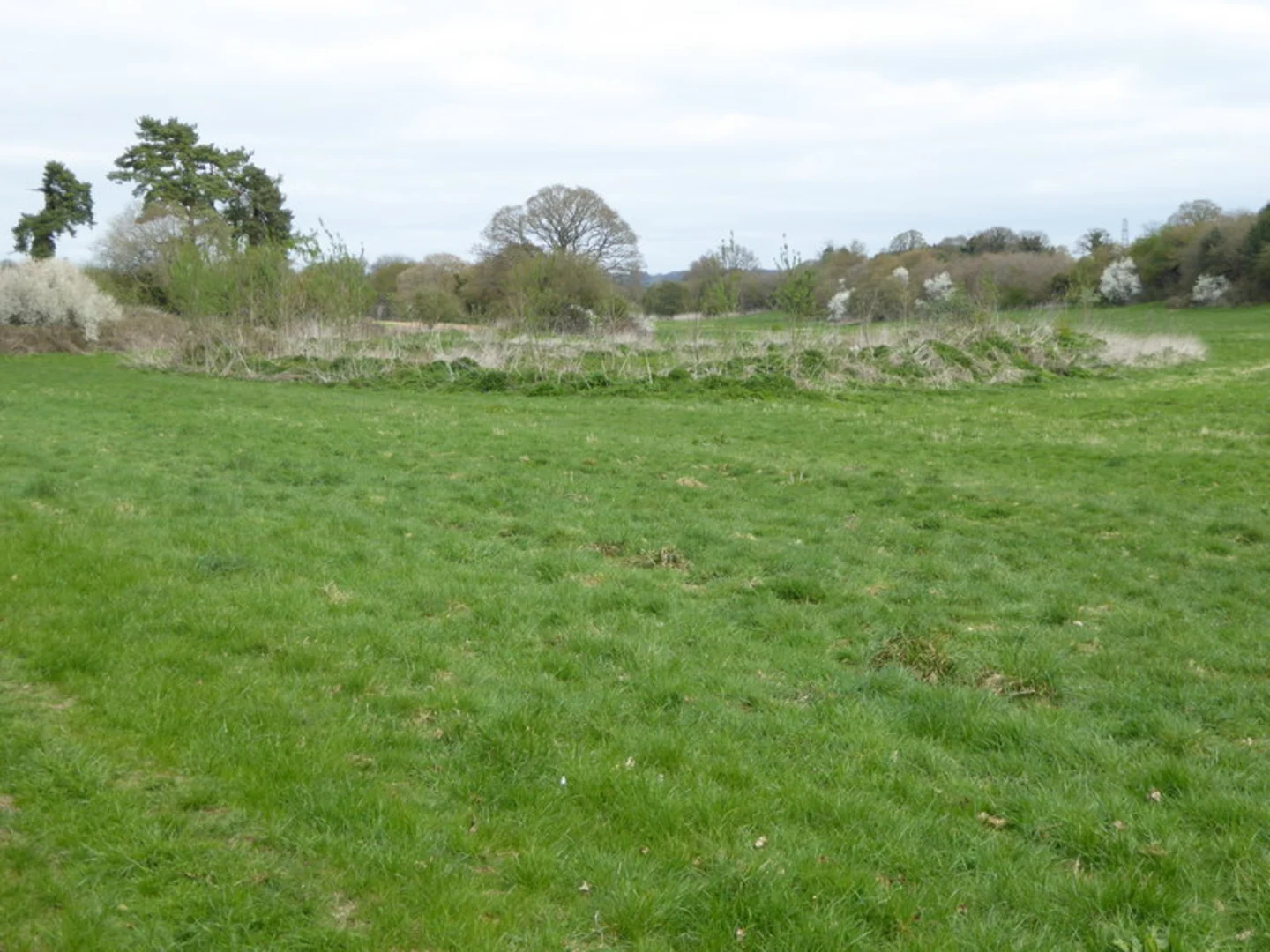 An image depicting the trail Nursling and Rownhams Country Park and Great Covert Loop and its surrounding area.