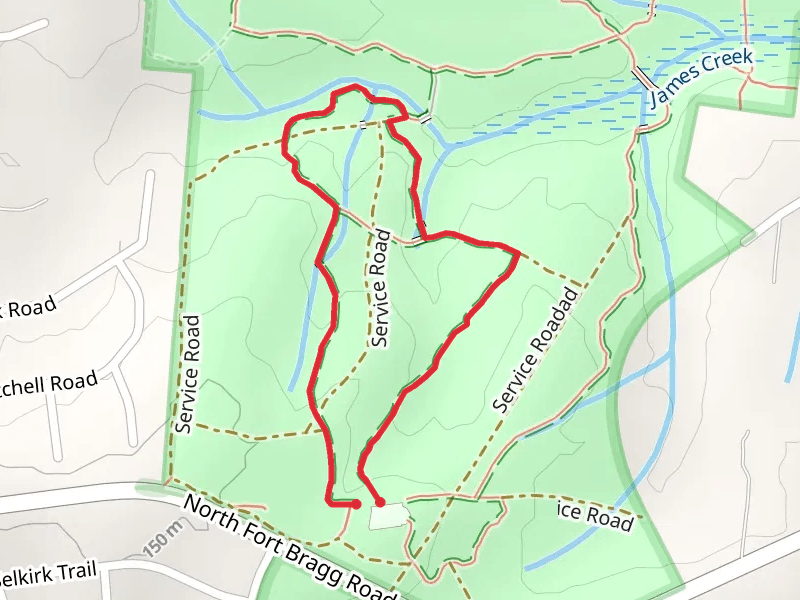 Pine Barrens Trail Loop