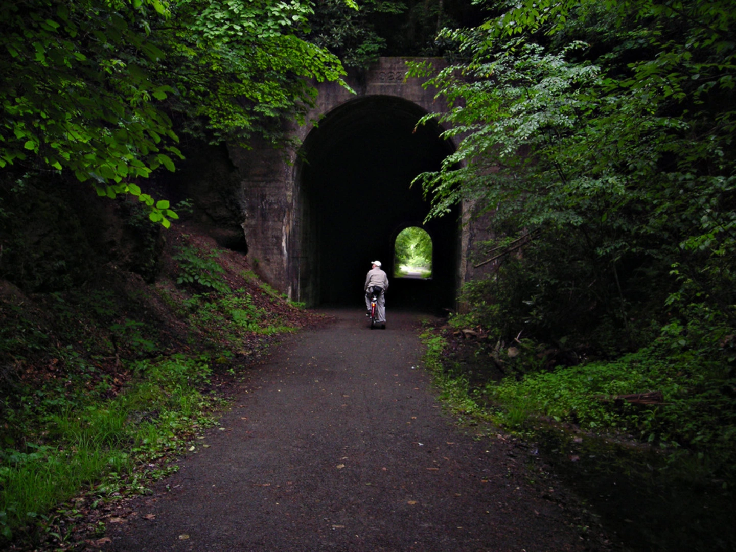 An image depicting the trail Guest River Gorge Trail and its surrounding area.
