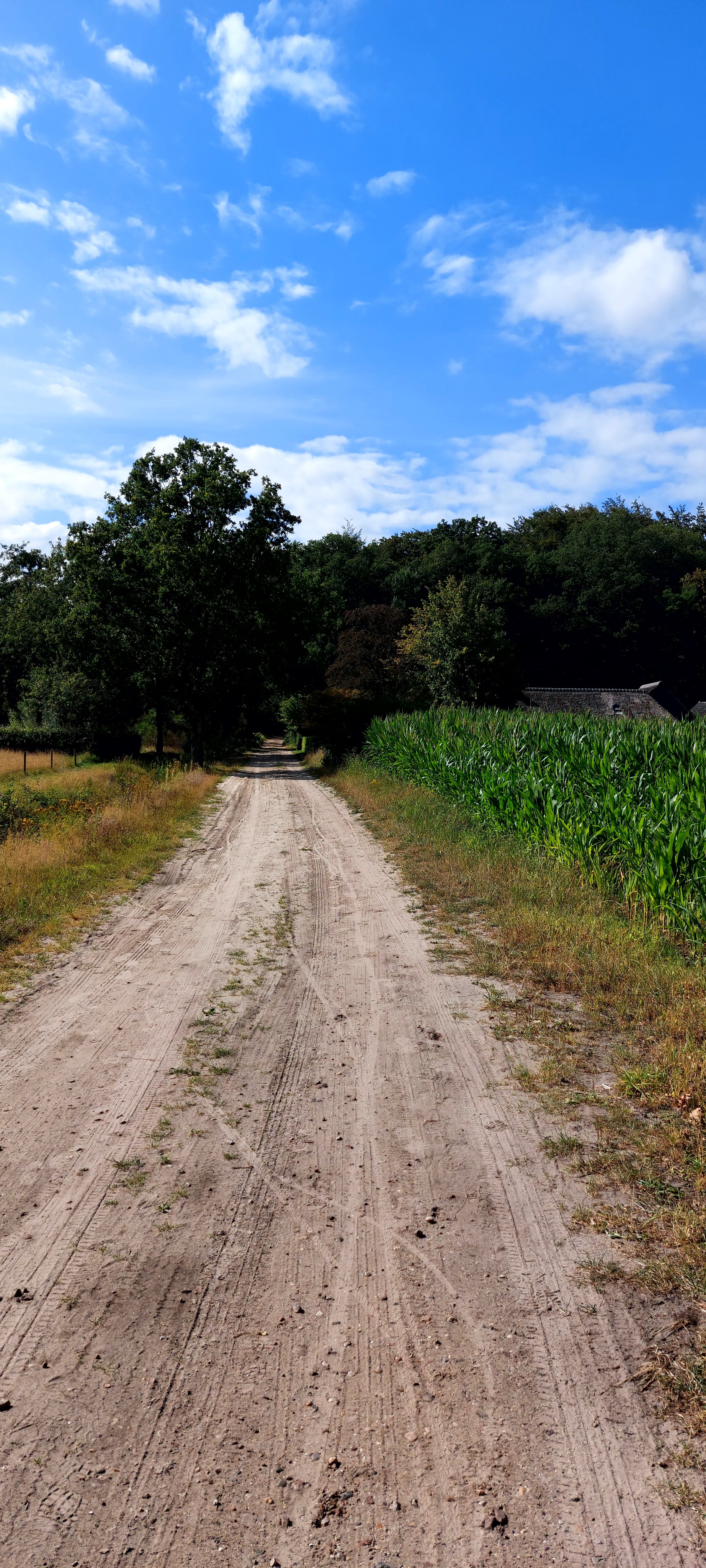 A map preview of the recording wandeling Frederiksoord .