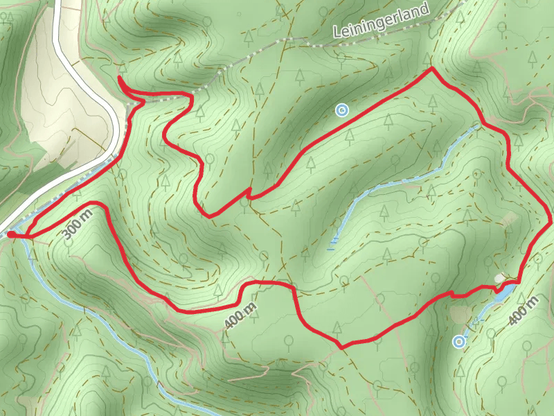 Kesselbrunnen and Ungeheuersee Loop via Pfaelzerwald Gruenes Kreuz