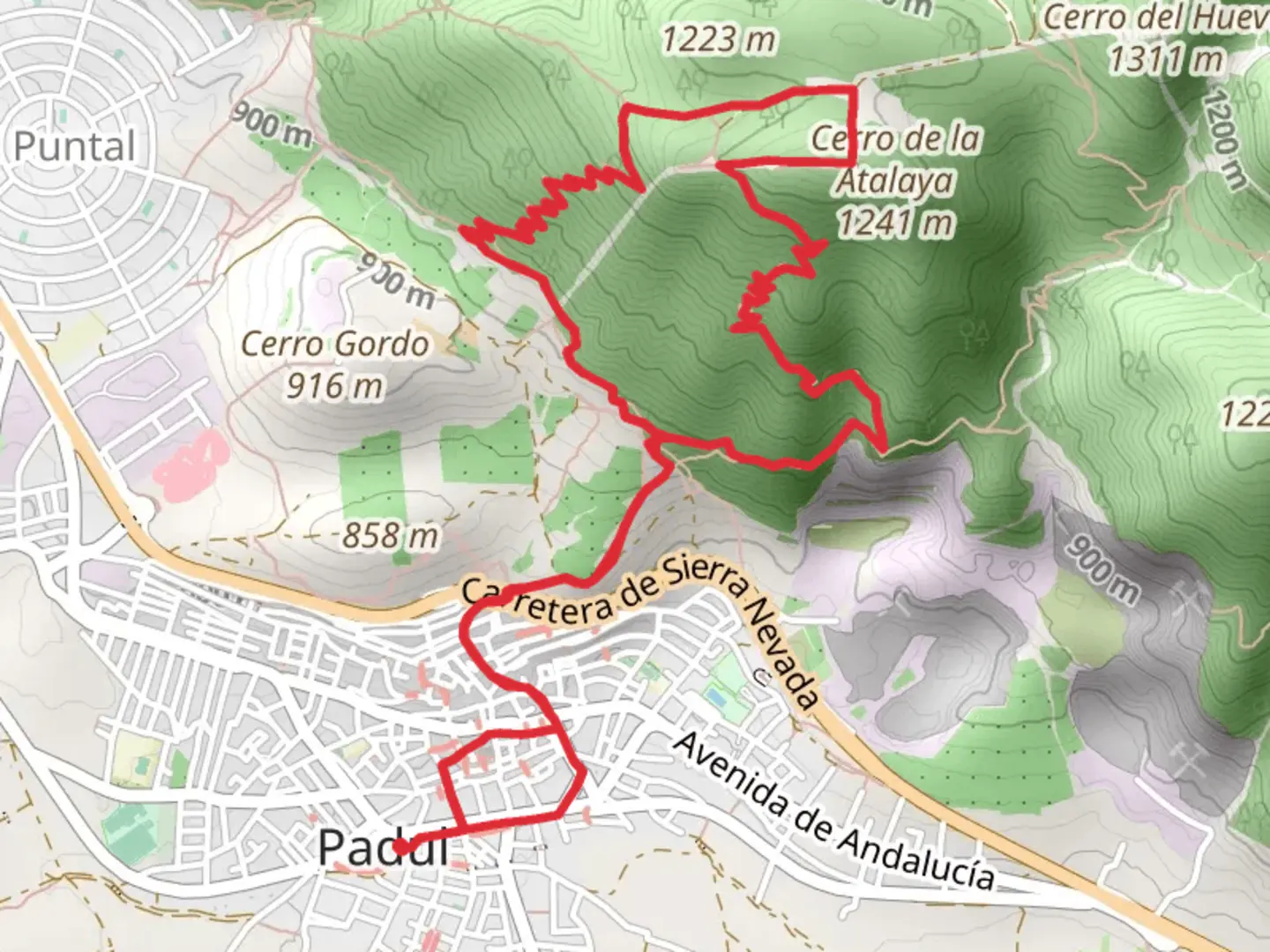 An image depicting the trail Padul Watchtower Father Ferrer Trail PR A 376 and its surrounding area.