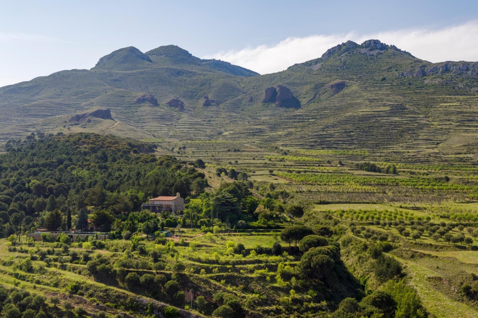 An image depicting the trail Circular through Miedes de Aragón - Tour of the Sierra de Espigar PR Z 094-b and its surrounding area.