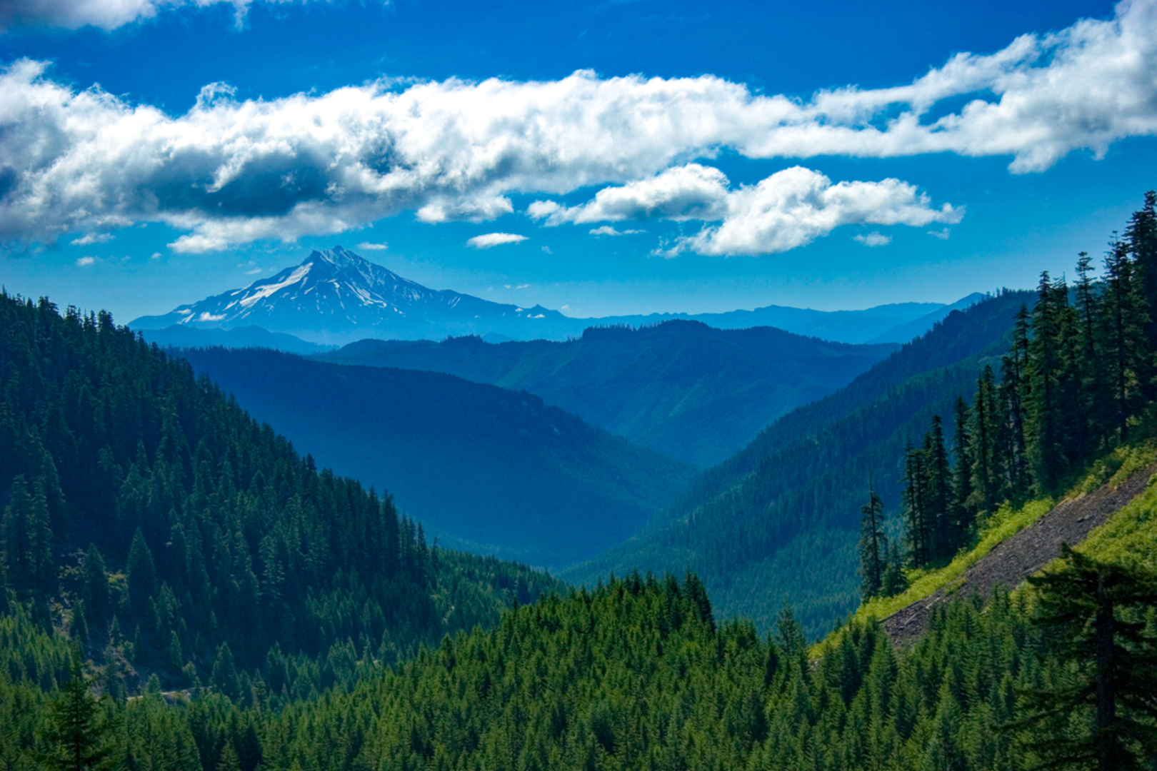 An image depicting the trail Fisher Creek Trail and its surrounding area.