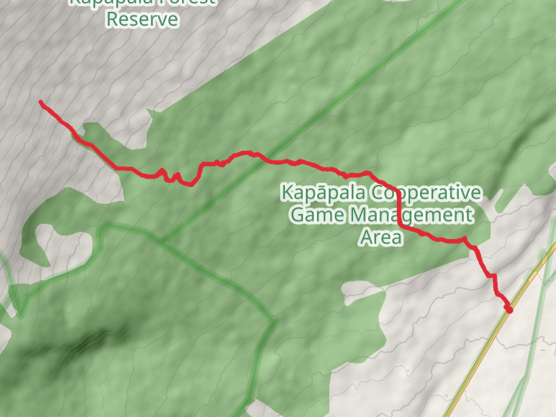 Ainapo Trail - Short
