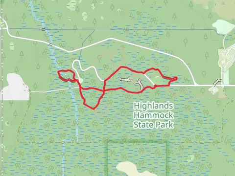 Hickory, Cypress Swamp and Sweet Gum Loop Trail