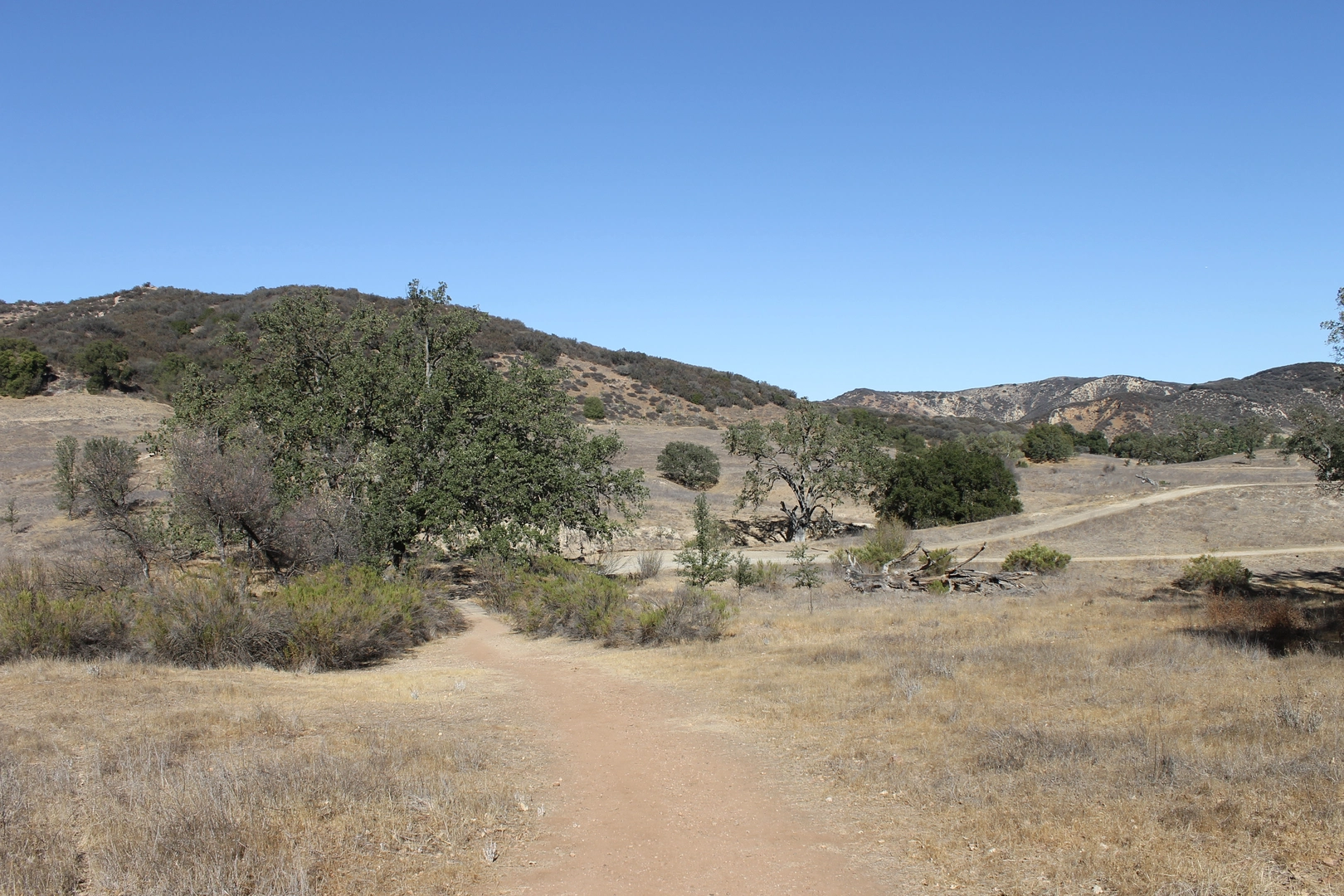 An image depicting the trail Paramount Ranch Road and its surrounding area.