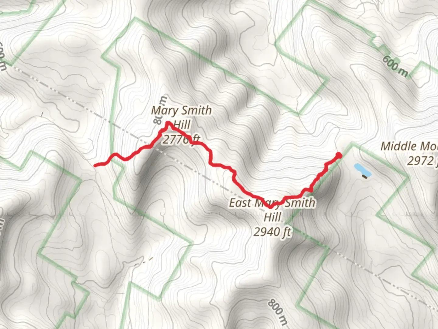 An image depicting the trail Mary Smith Hill and its surrounding area.
