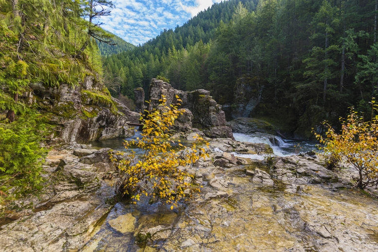Kopetski - Opal Creek Trail
