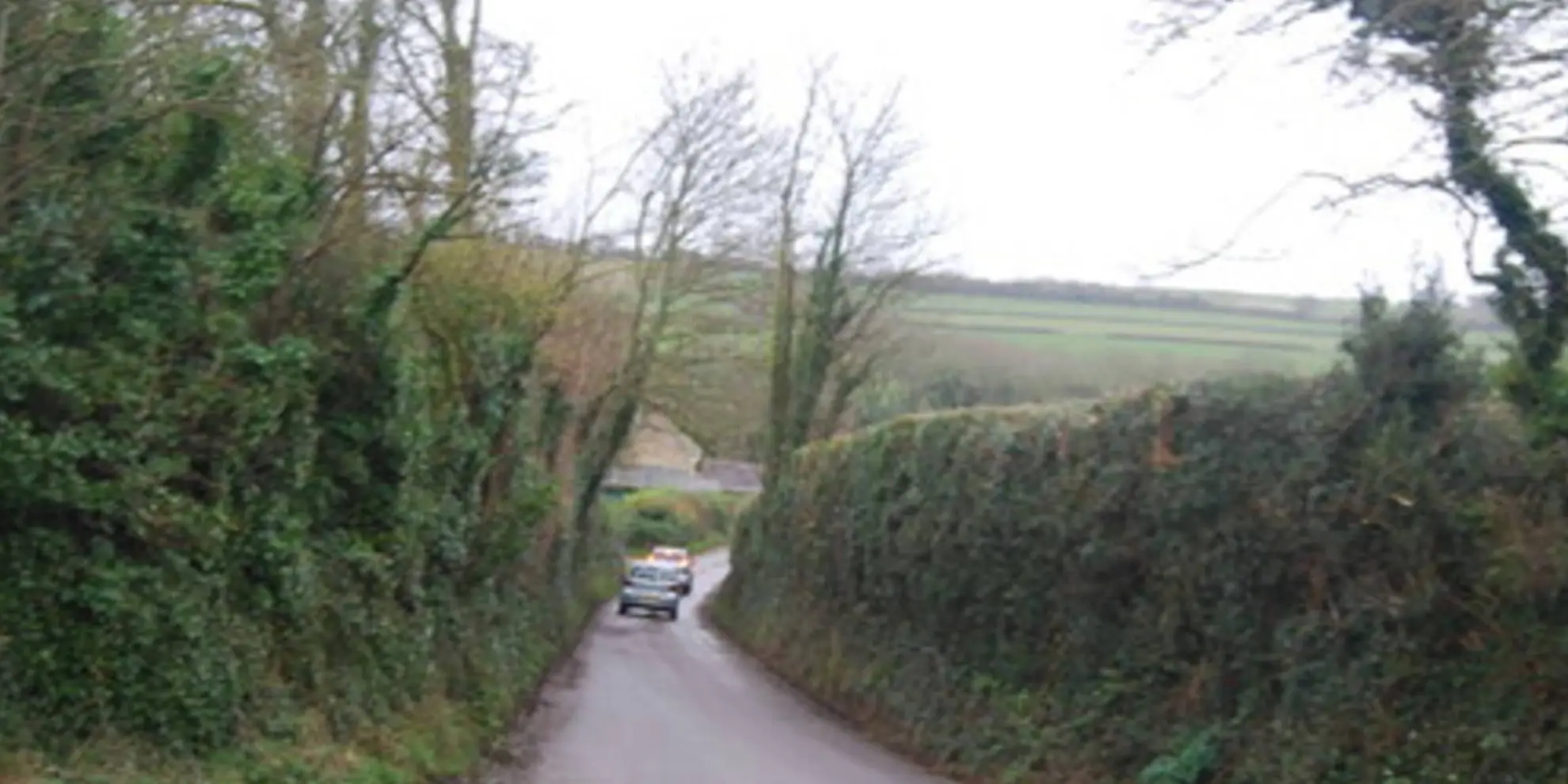 An image depicting the trail Graston Copse - Bridport Walk and its surrounding area.