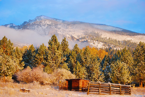 Trapper Creek Trail