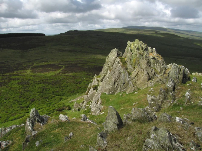 Foeldrygarn - Carn Menyn