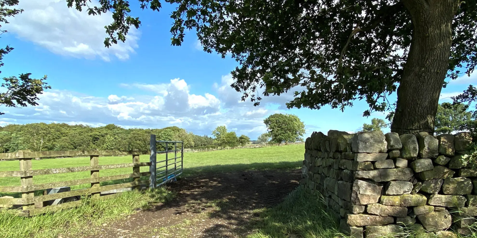 Great Timble - Ellarcarr Pike - Lippersley Pike - Gawk Hill Gate and