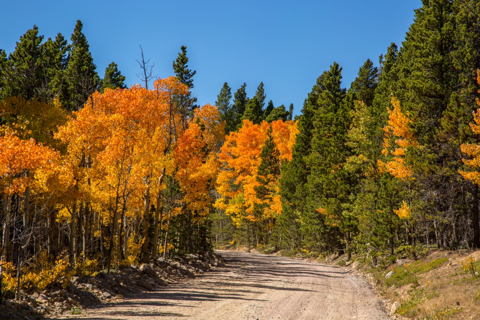 An image depicting the trail Crags Trail via Rainbow Lakes Trail and its surrounding area.