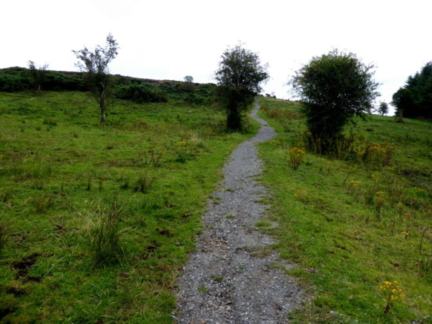 An image depicting the trail Topped Mountain and its surrounding area.