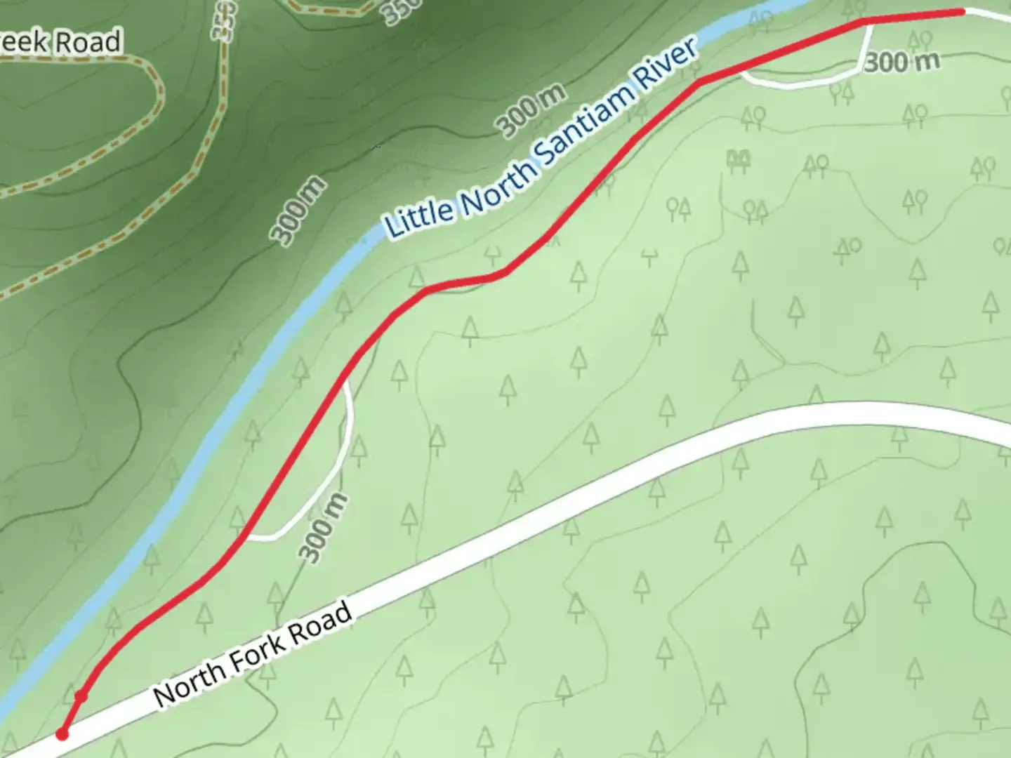 An image depicting the trail Little North Santiam River and its surrounding area.