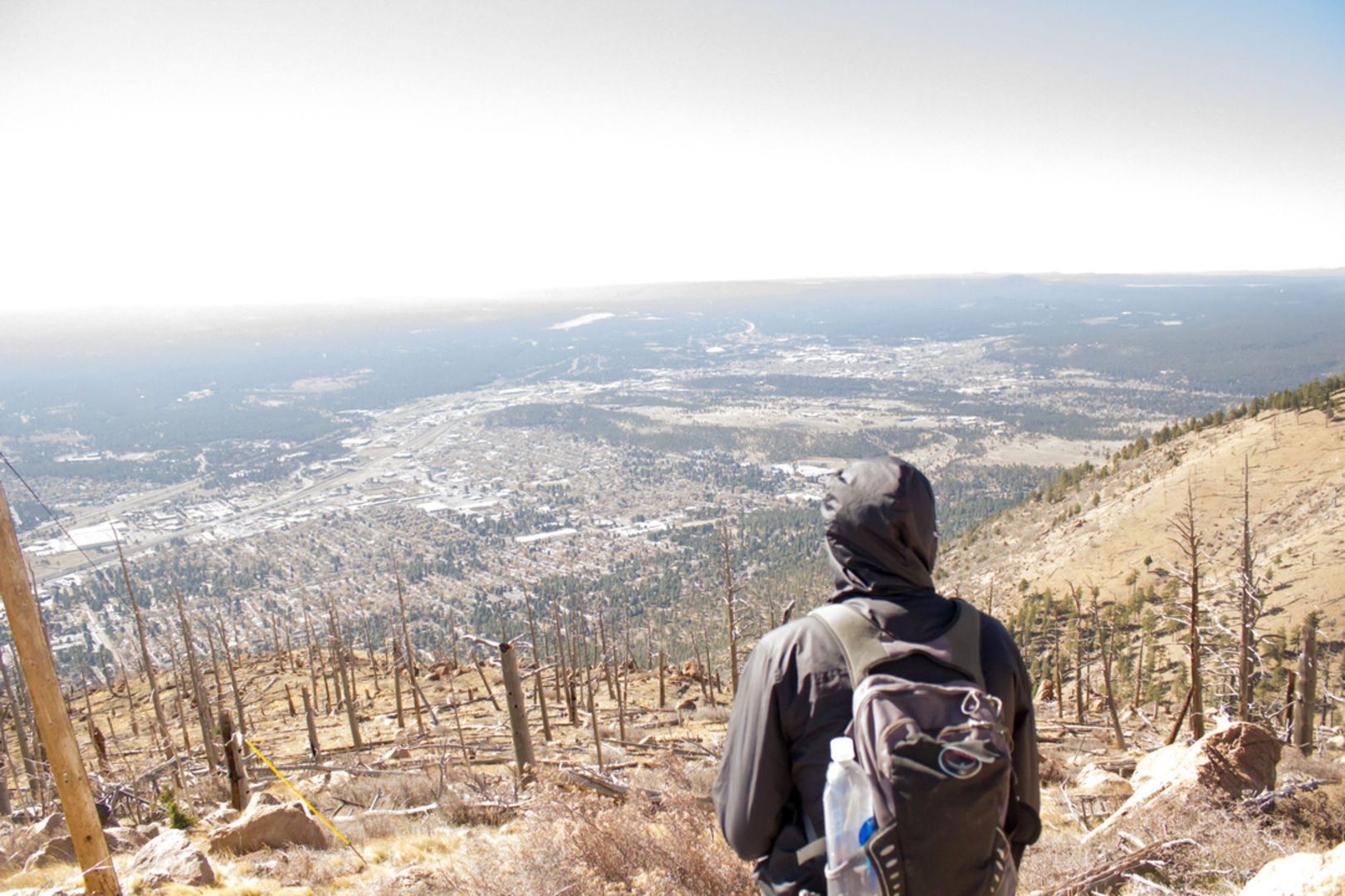 An image depicting the trail Little Andy Trail and its surrounding area.