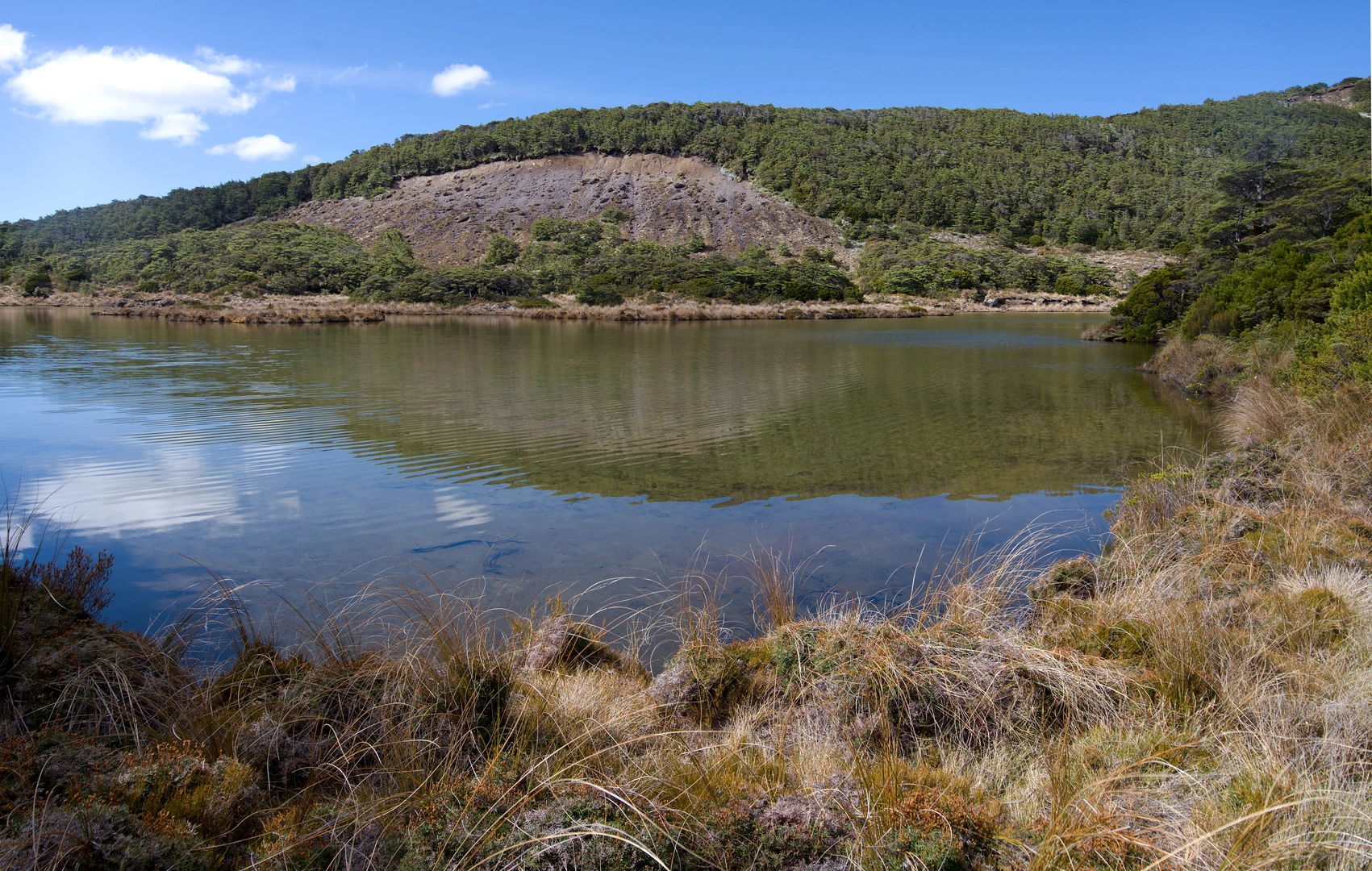 An image depicting the trail Round The Mountain Southern Leg and its surrounding area.