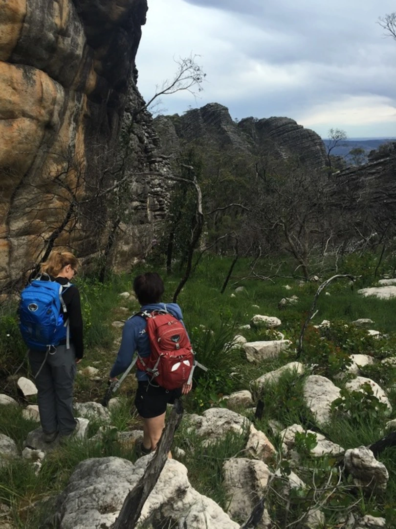 An image depicting the trail Mount Thackeray Trail and its surrounding area.