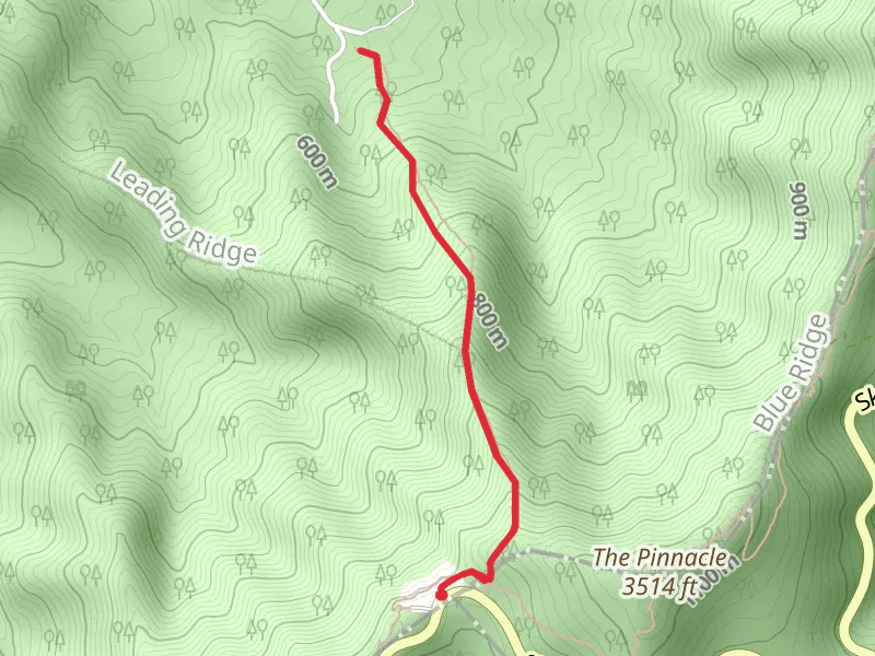 Leading Ridge Trail