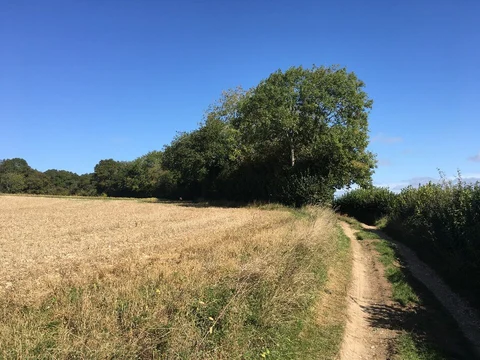 Ibworth to Hannington and North Oakley Loop