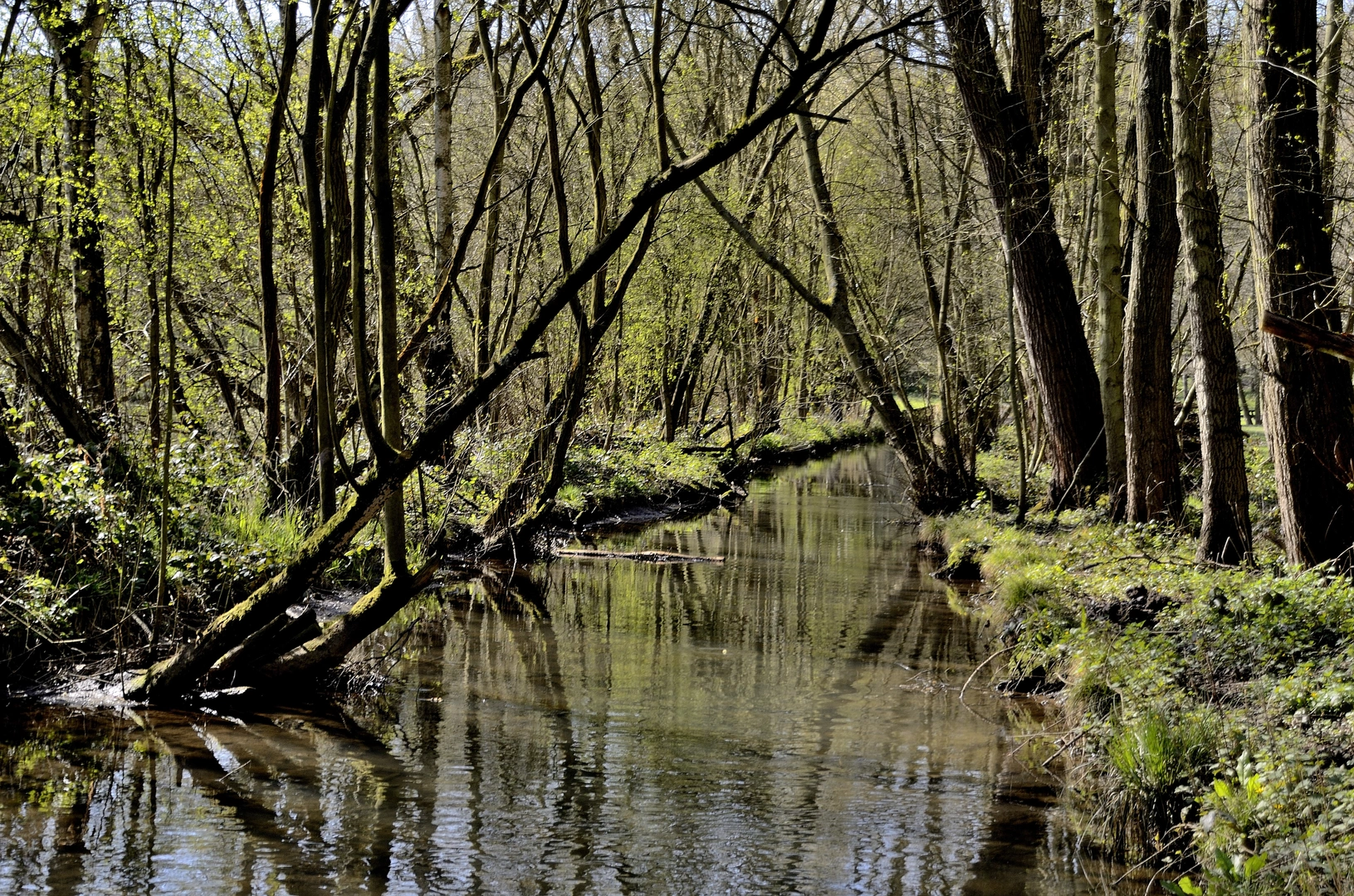 An image depicting the trail Wakefield Way and its surrounding area.
