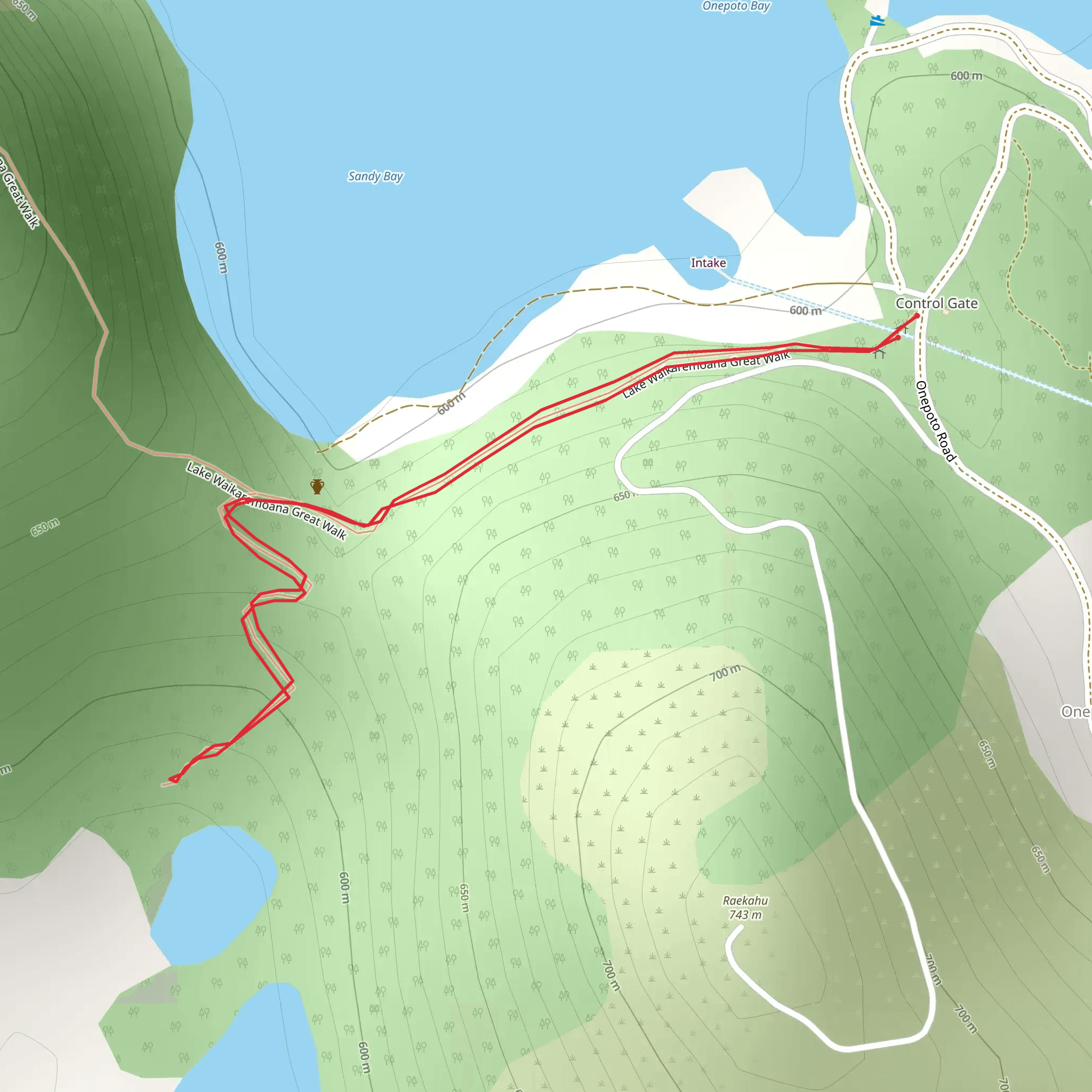 Lake Kiriopukae Walk mobile static map