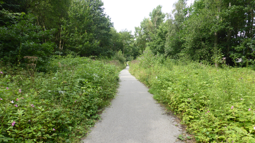 Wey South Path