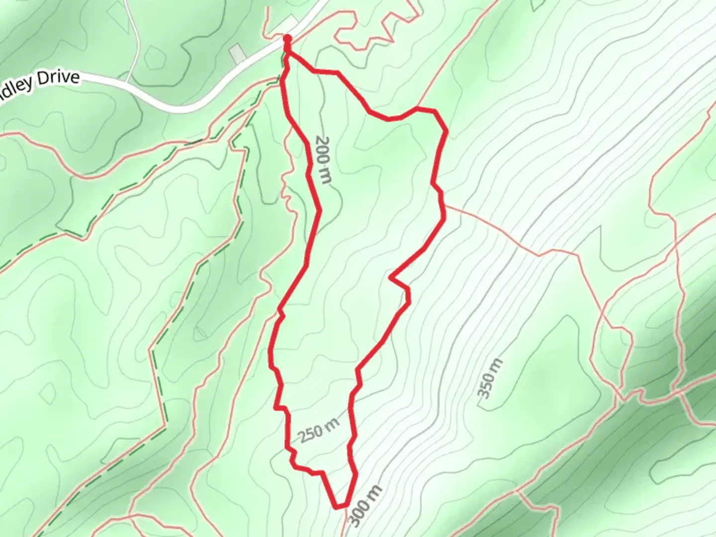 An image depicting the trail Blue and Red Road Loop from John Findley Drive and its surrounding area.