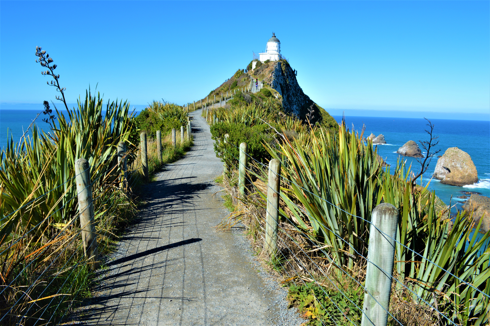 An image depicting the trail Nugget Point - Tokata and its surrounding area.