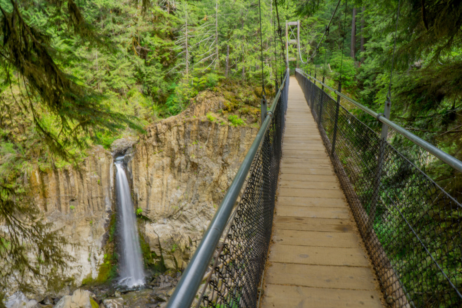 An image depicting the trail Drift Creek Falls Trail and its surrounding area.