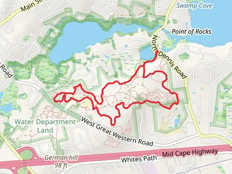 Black Racer and Camelot Loop
