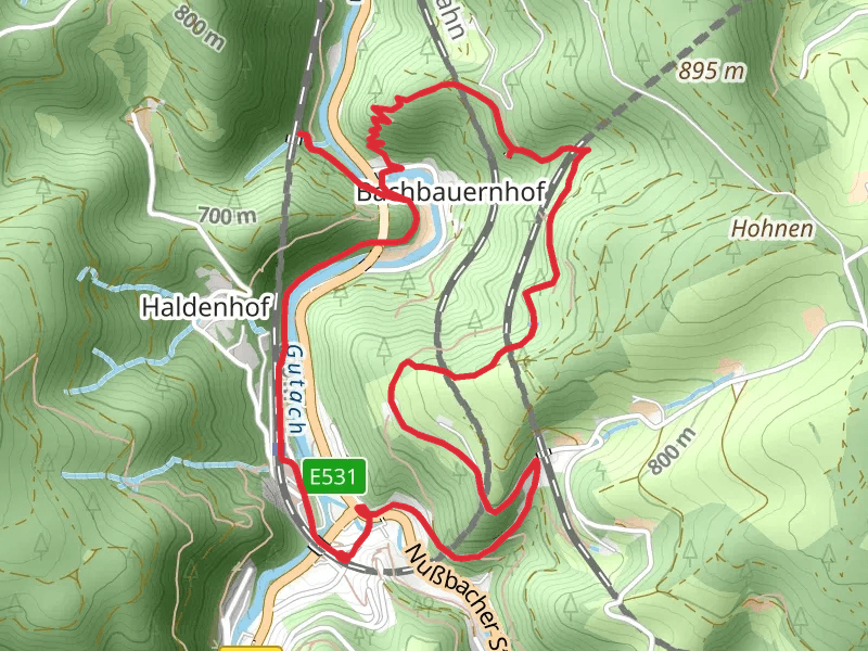 Vierbahnenblick, Gremmelsbacher Tunnel and Geschichte des Tunnelbaus Loop via Feißesbergweg