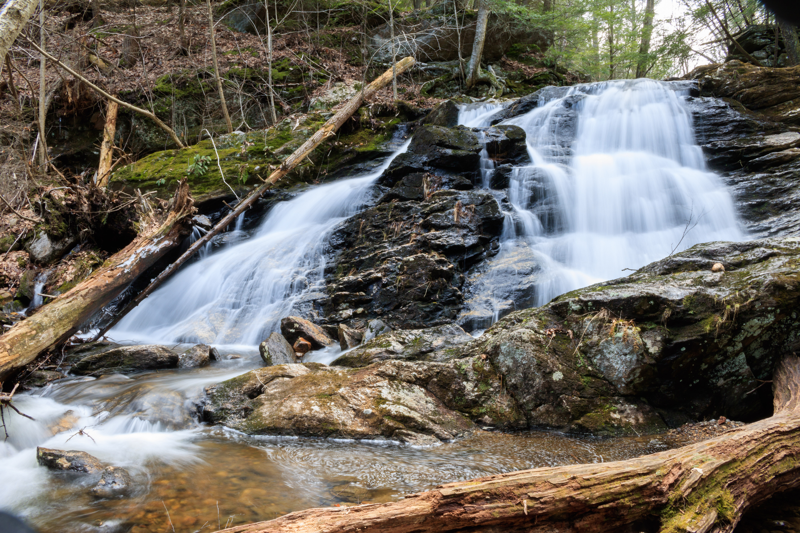 An image depicting the trail Carpenter's Falls and its surrounding area.