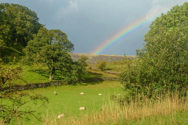 Thirlmere Loop from Legburthwaite