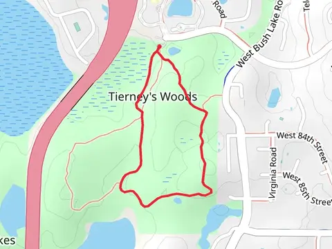 Tierneys Woods Loop