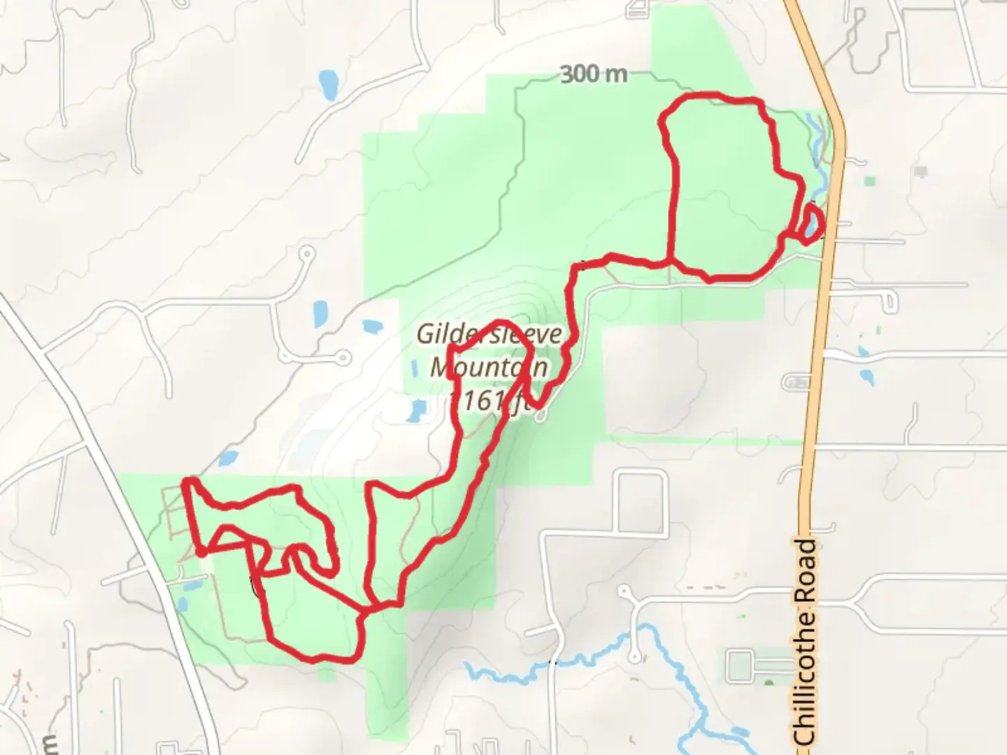 An image depicting the trail Gildersleeve Mountain - Beech Woods Loop Trail and its surrounding area.