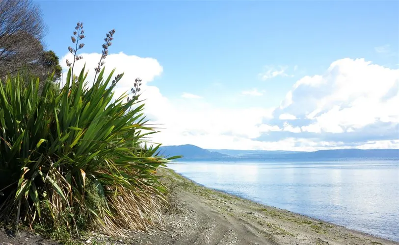 Oruatua Walk