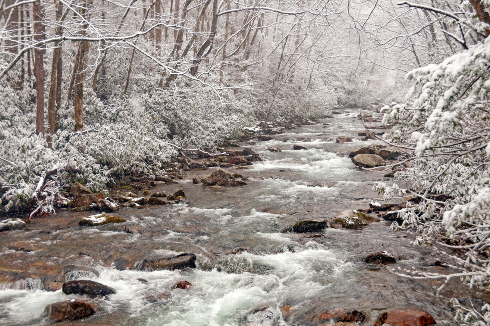 An image depicting the trail Low Gap Trail and its surrounding area.