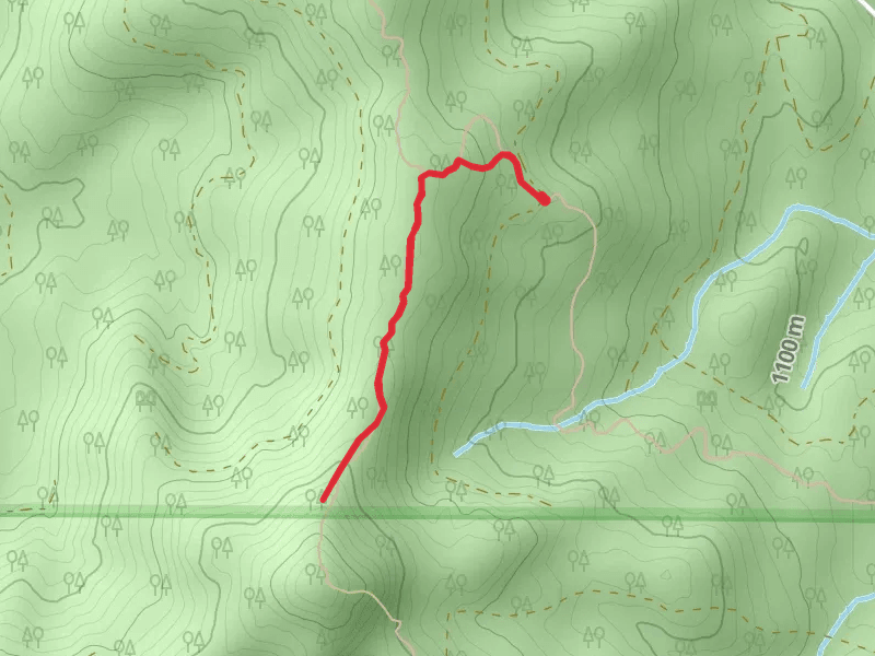 Radar Dome Trail
