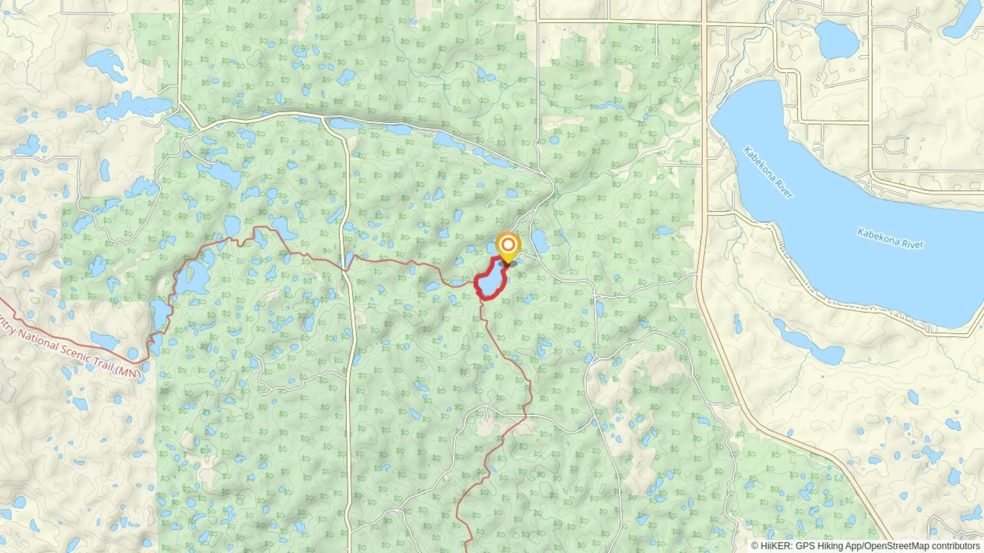 An image depicting the trail Nelson Lake Loop Trail and its surrounding area.