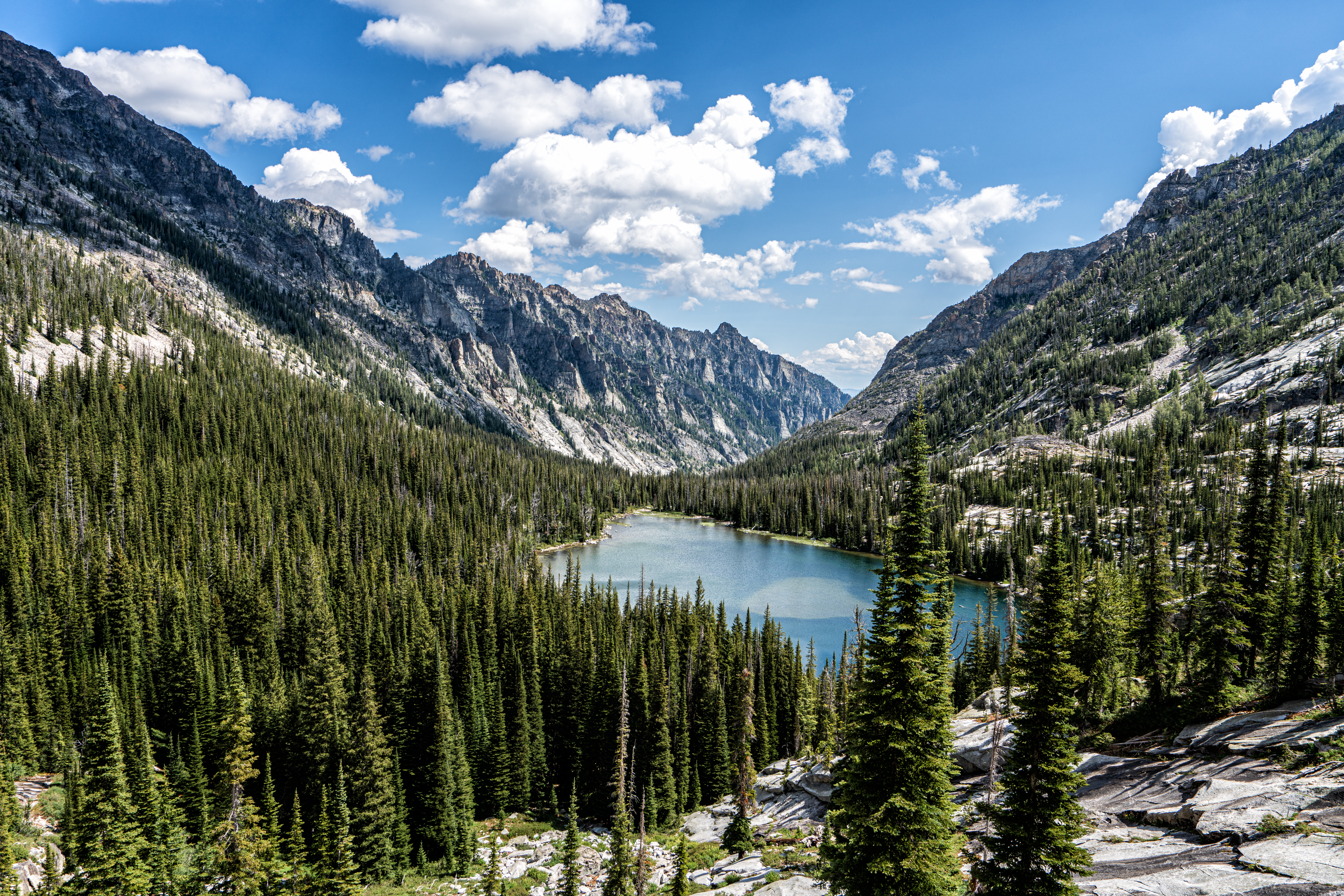 An image depicting the trail Bitterroot National Forest and its surrounding area.