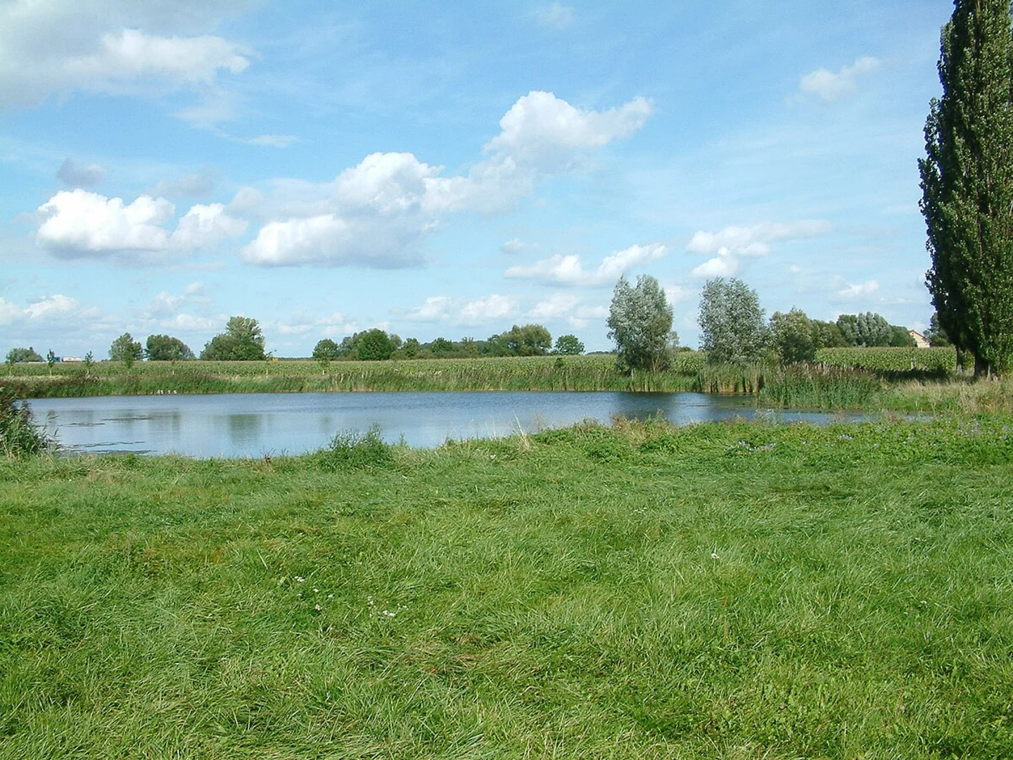 An image depicting the trail NSG Fauler See Loop via Honower Weg and its surrounding area.
