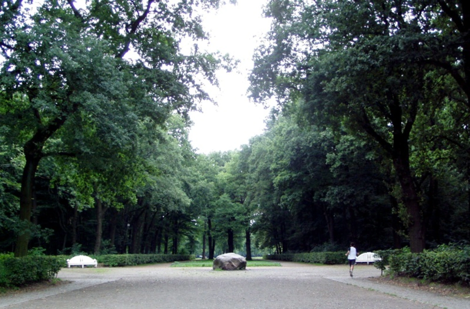 An image depicting the trail Altonaer Volkspark Loop and its surrounding area.