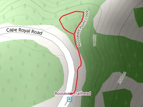 Roosevelt Point Loop
