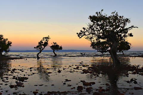 Fitzgerald Bay Hiking Trail