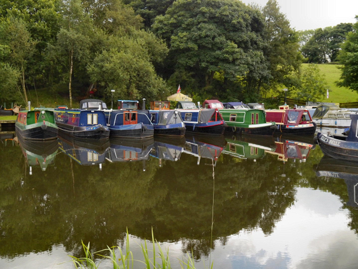 An image depicting the trail Ollerton Fold and Riley Green Loop and its surrounding area.