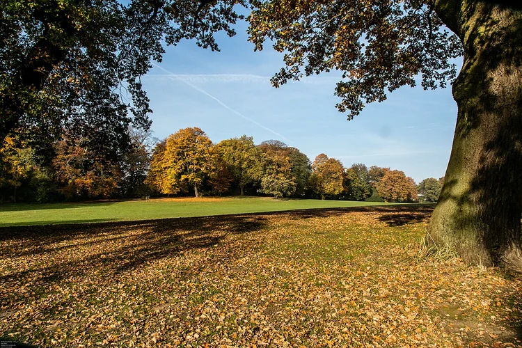 Jenischpark Loop