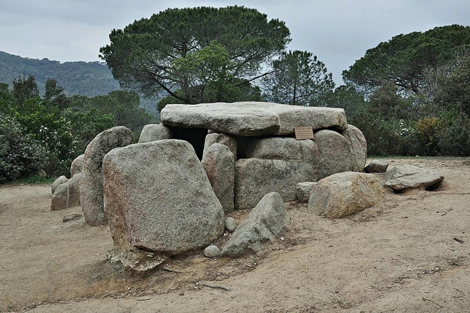 An image depicting the trail The Dolmen of Ca L'Arenes SL C 80 and its surrounding area.